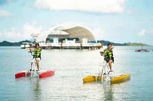 One Day Kepri Coral Island